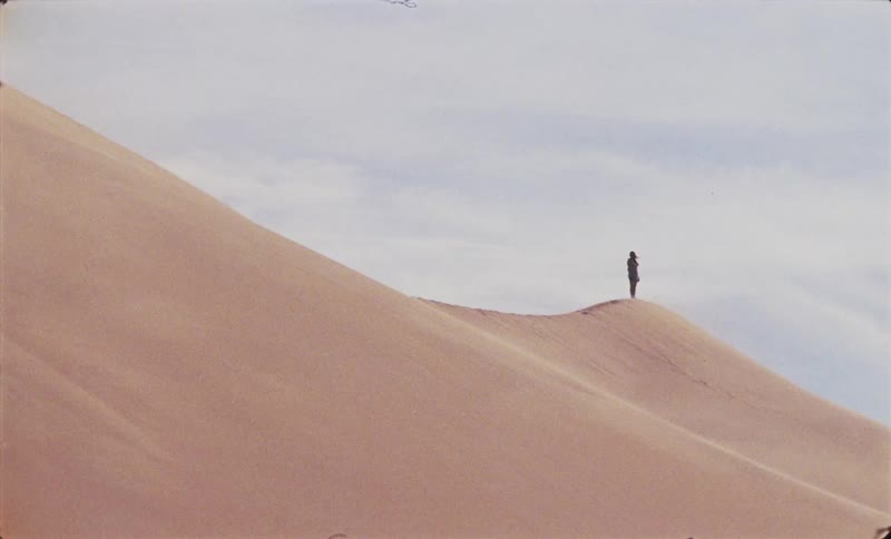 An image of a person standing in the desert