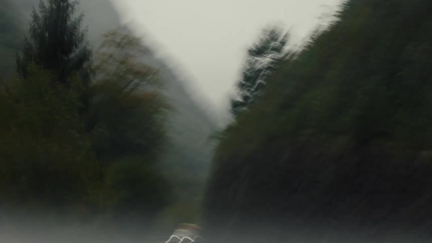 Moving view through forested mountains