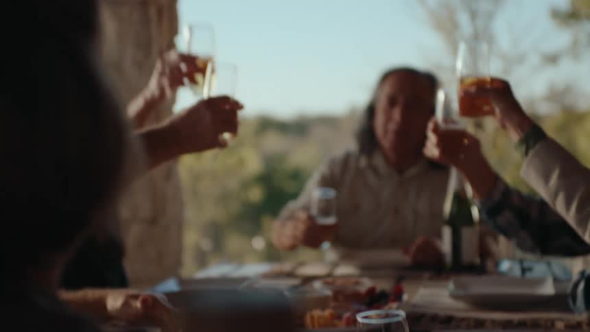 A group of people raising their glasses in a toast creating a warm and celebratory atmosphere with sunlight and greenery visible in the background