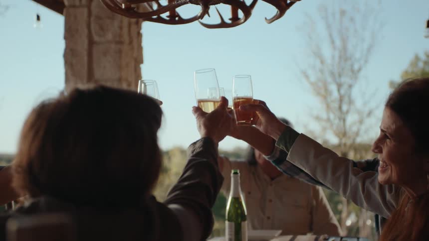 People sitting at a table toasting