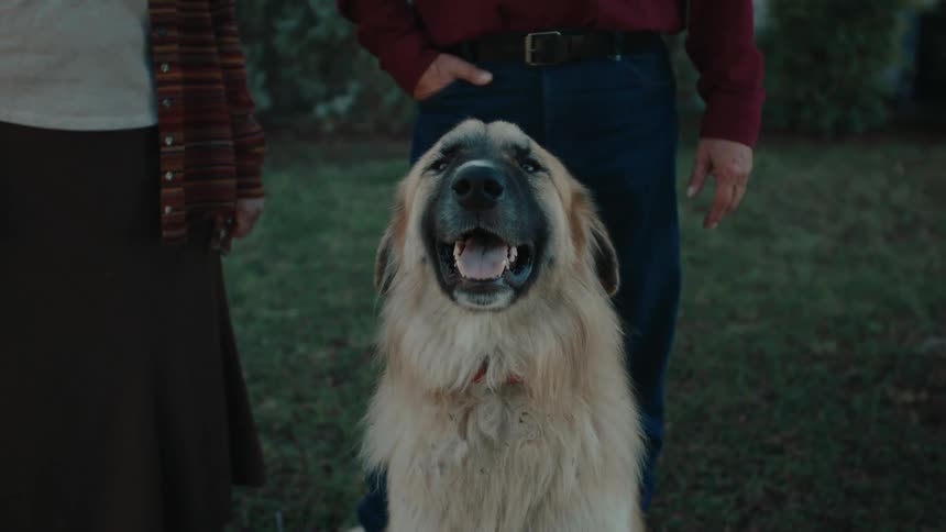 Two people in a yard stand behind a frisky dog who looks around while wagging its tail