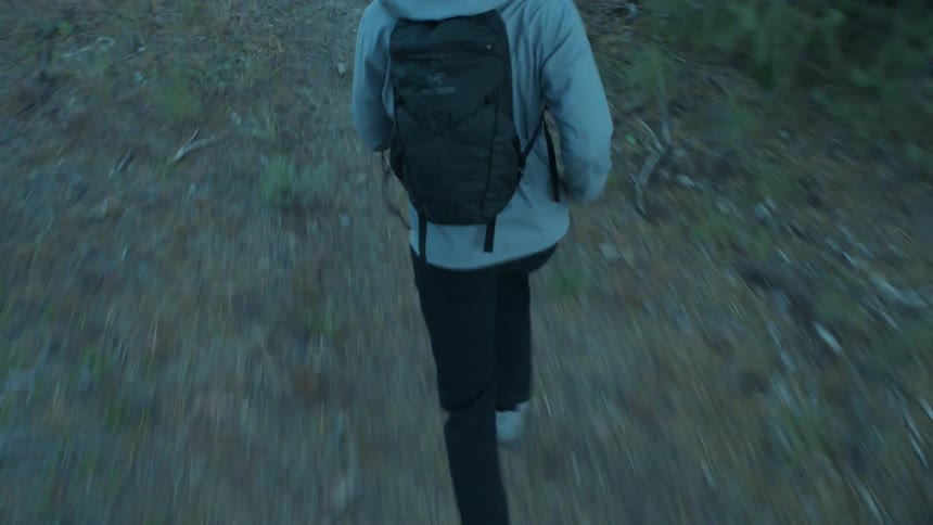 An adult runs on a trail in an evergreen forest on a summer day