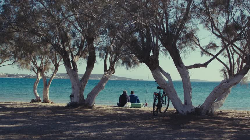 Two friends sit on the shore while a nearby bicycle leans against a tree