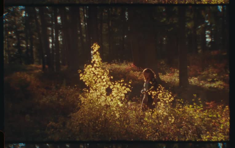 Woman walks through the brush in a conifer forest during the day