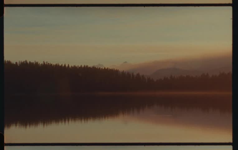 Landscape of a lake with a coniferous forest around