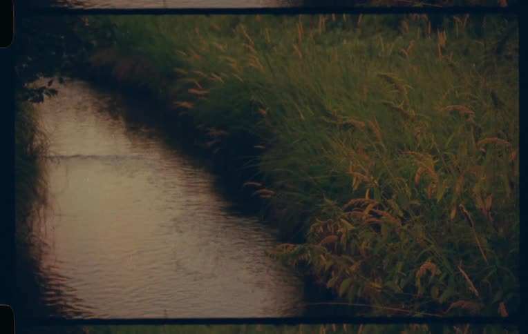 Landscape of a narrow river with a vegetated bank