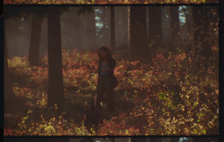 A clip of a female walking a dog in the bush