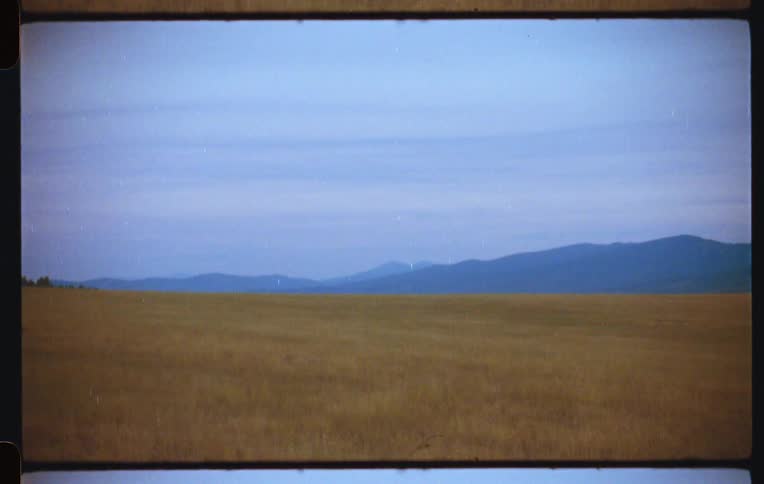 A large field of green grass with distant blue mountains in the background