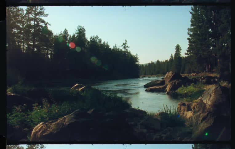 A river runs through a forest