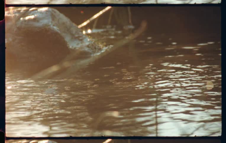 Landscape of a flowing river and the reflection of the sun