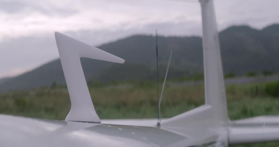 A white hood ornament