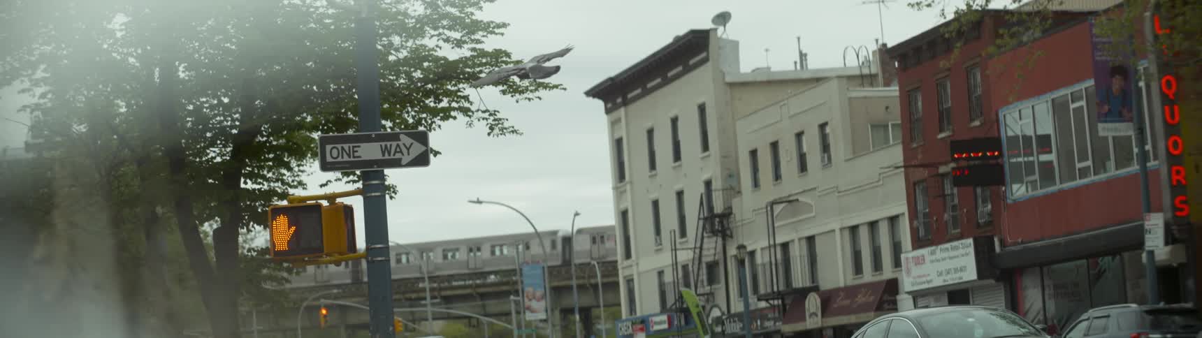 A bird flies in slow motion in a city