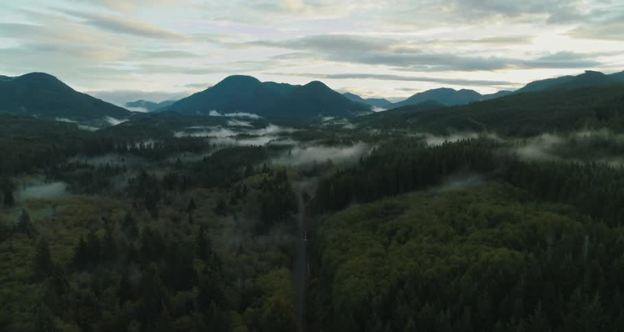 Panning over a forest mountains in the distance