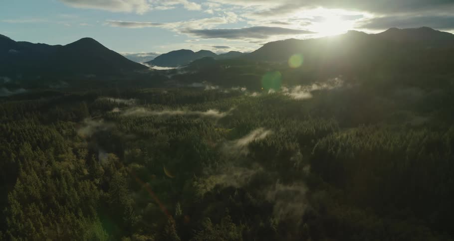 Aerial view of a mountainous valley greened by a forest