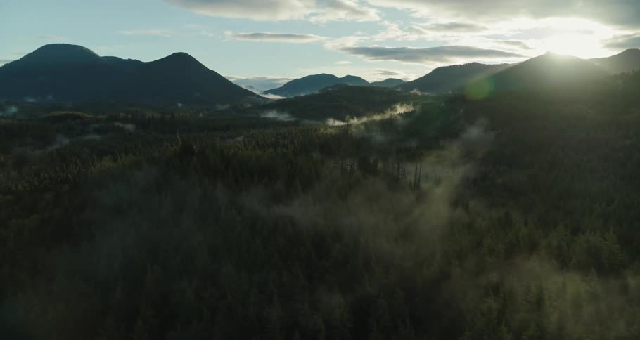 Aerial of an evergreen forest in a mountain valley at sunset
