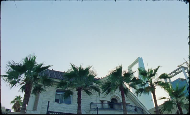 The facade of a large white house with windows and in front there are some palm trees with green leaves