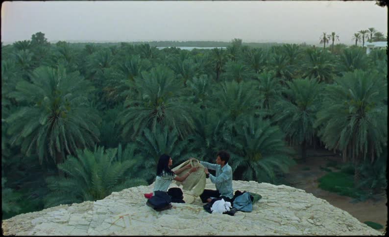 A male and female sit on a hill admiring clothing while surrounded by trees