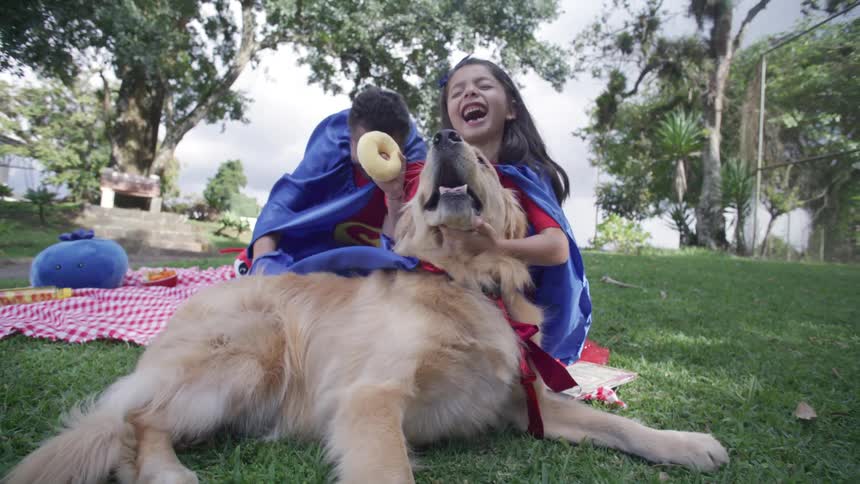 Man with his daughter in a backyard and a golden retriever playing