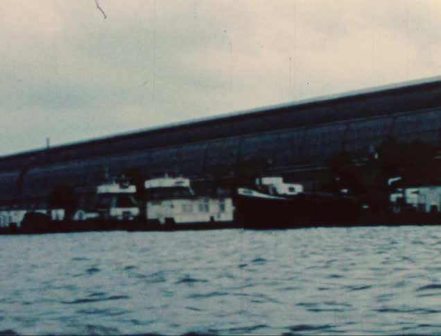 Several boats docked side by side