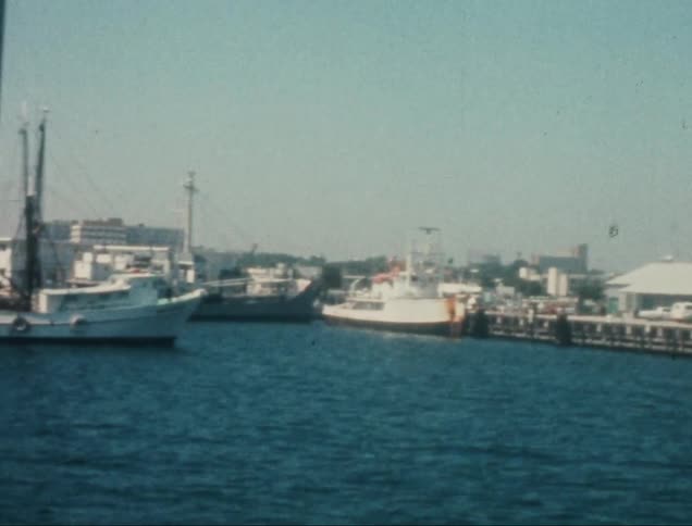 Several boats are docked at a harbor with a cityscape under a clear sky