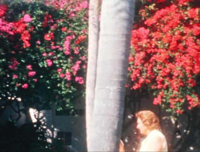 An old image of some adult women walking and above them there are many red flowers contrasting with a white wall