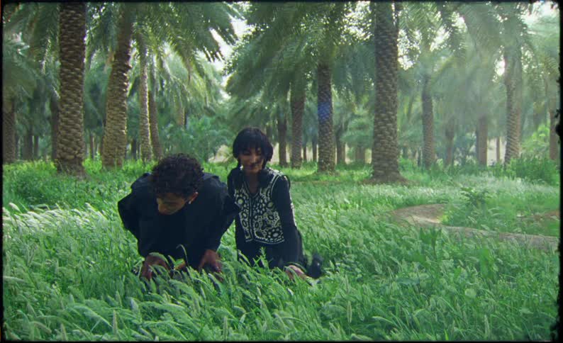 Man sitting next to a woman who is running her hand through the grass in a setting with coconut trees