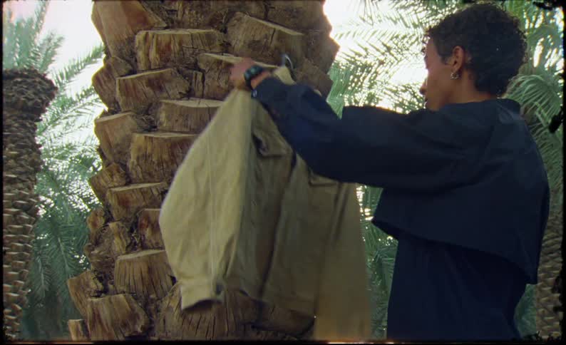 A clip of a person hanging a jacket on a palm tree