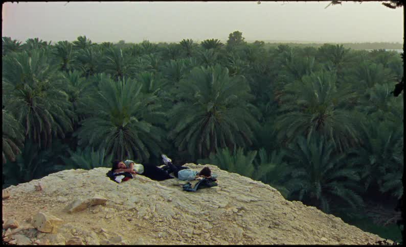 Two people lying down on a rocky mountain with a palm tree forest in the background