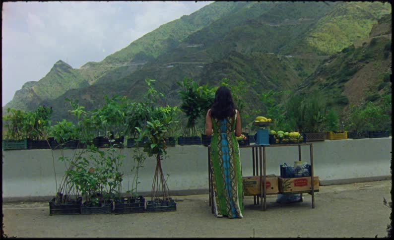Woman picking a fruit in a natural area with mountains in the background