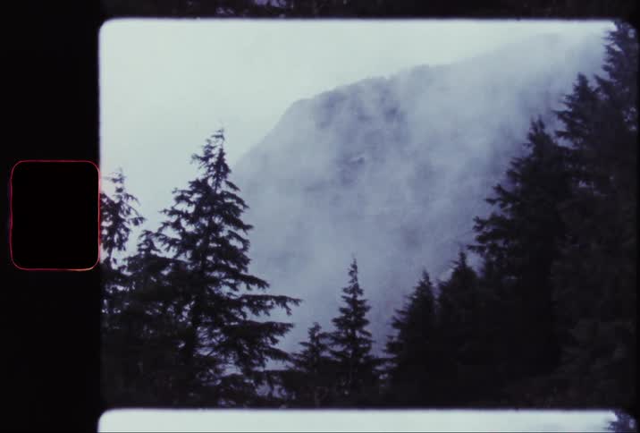 A misty mountain landscape with tall trees shrouded in fog