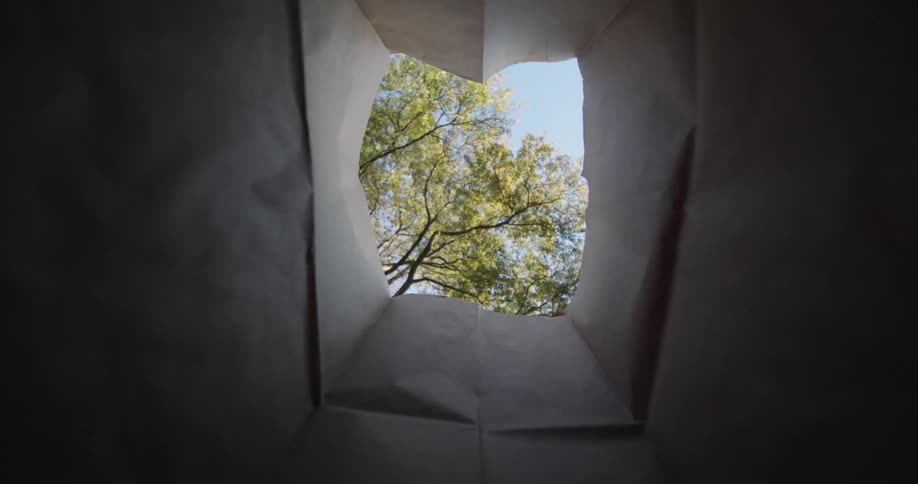 View from inside a paper bag as fallen leaves are thrown in after raking in Autumn.