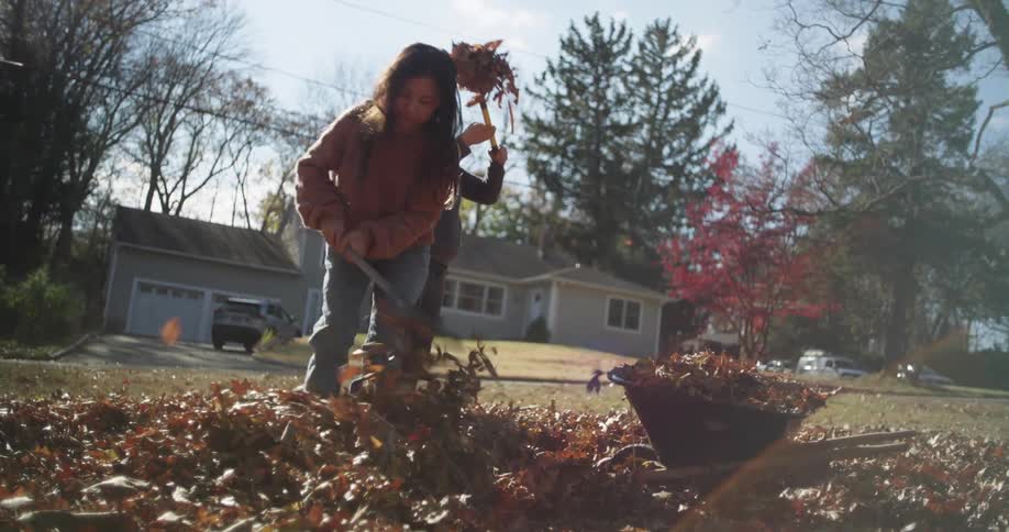 A footage of siblings playing while cleaning the yard