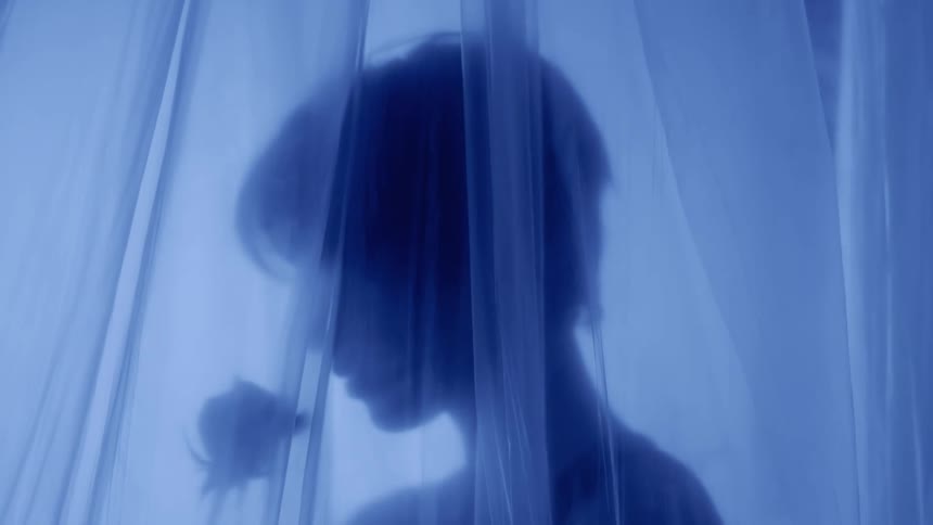 Side portrait of a woman with a curtain over her face holding a rose