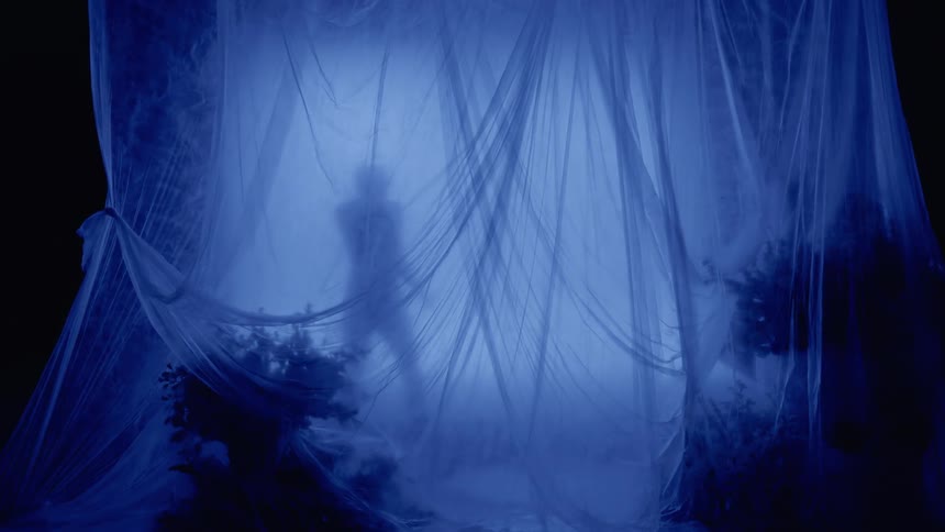 Person is performing a dance on stage behind a curtain