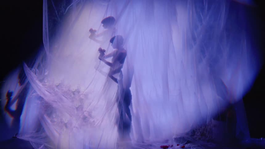 Woman plucking a flour as she dances behind sheer fabric on stage