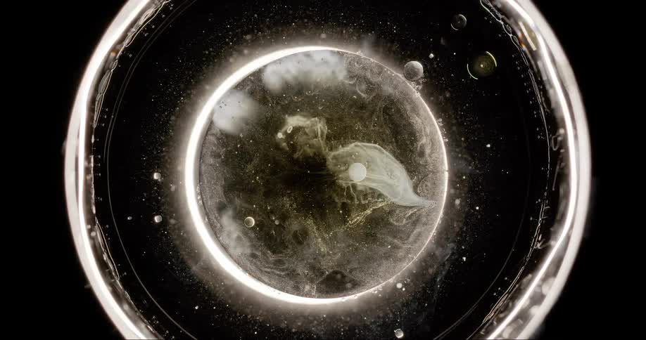 Glowing circular frame with swirling textures particles and abstract shapes against a dark background