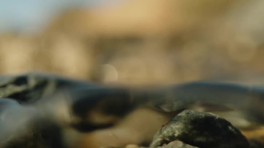 Water streams over the rocks in the foreground with a blurred coastal background creating a sense of motion and depth