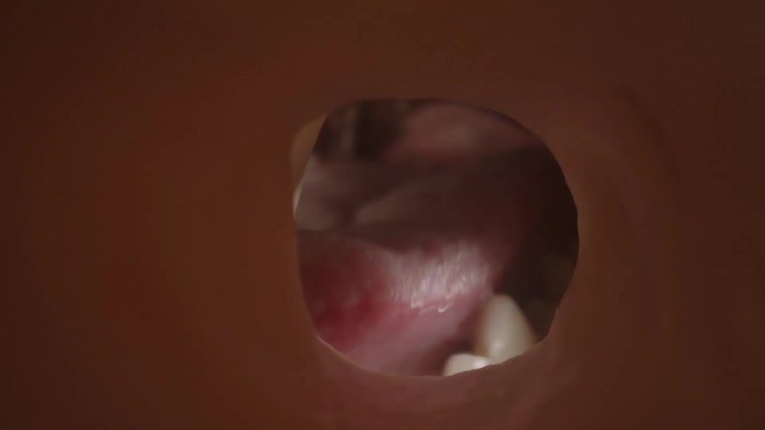 An animal is licking around the tube