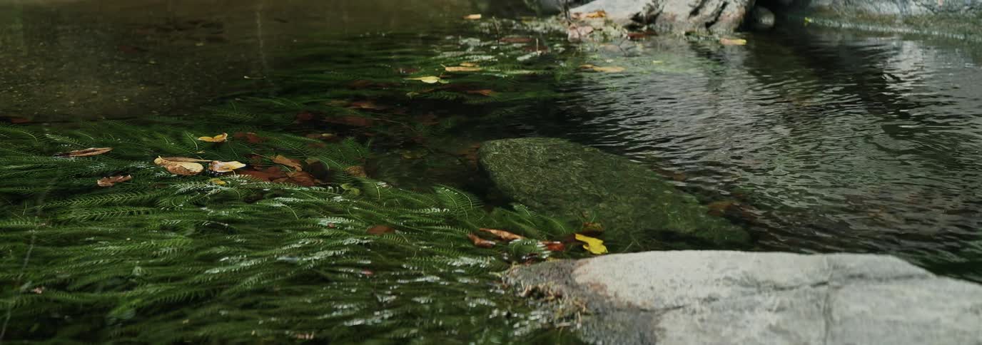 Water flows down a river by some rocks