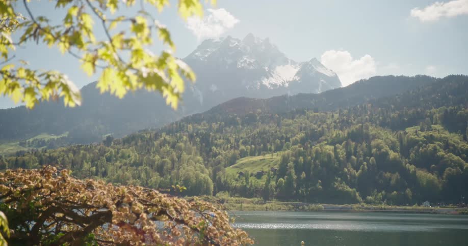 A lake is surrounded by mountains and trees
