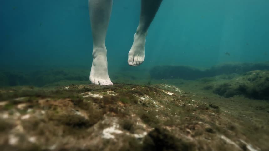 A pair of bare feet stand on a mossy rock submerged in a tranquil underwater scene