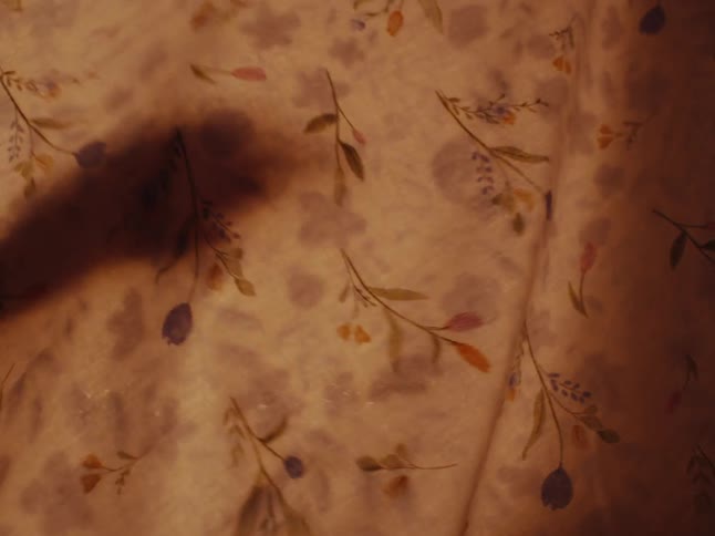 Shadow puppets behind a floral sheet