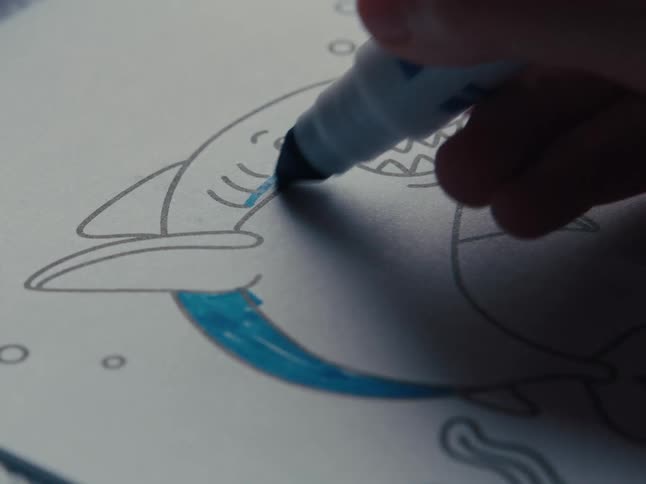 Close up of a black and white shark drawing and a hand with a blue pen painting it