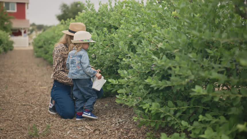Mother and daughter picking fruit from a tree