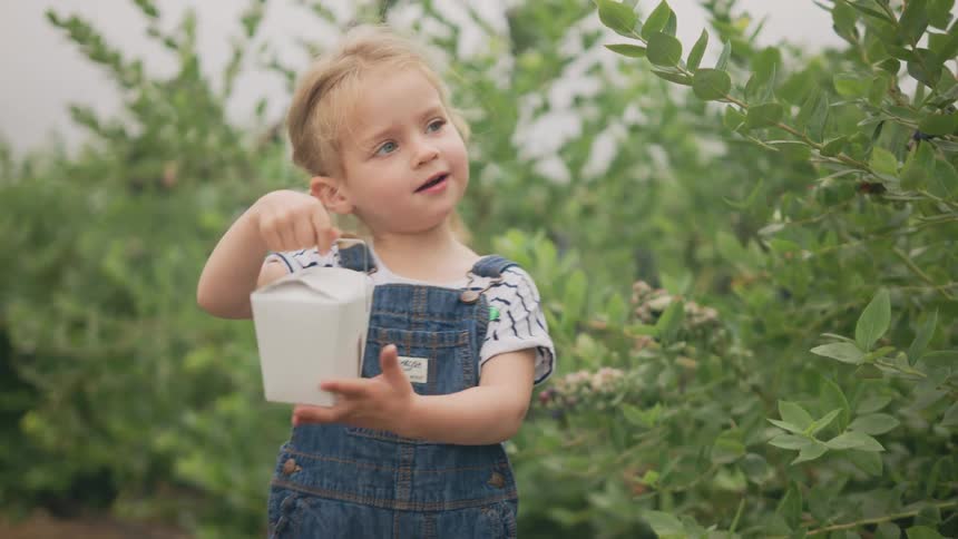 A child lifts up a container by the crops