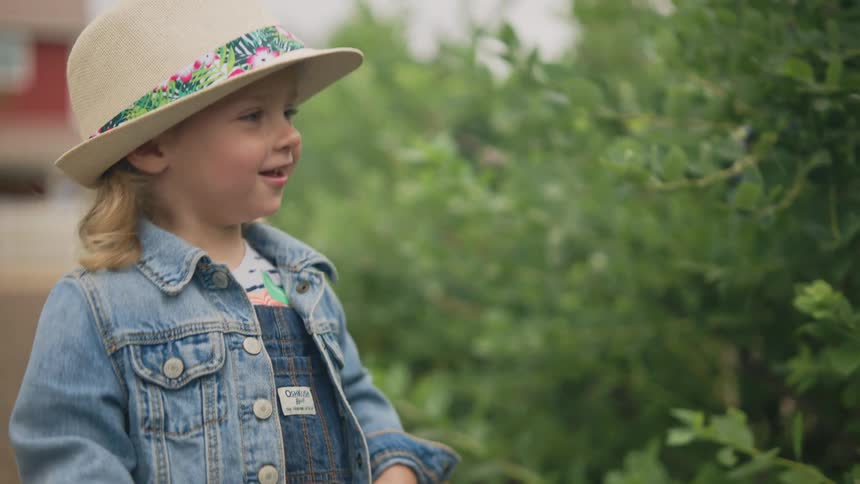 A child reaches out touching a leaf on a bush