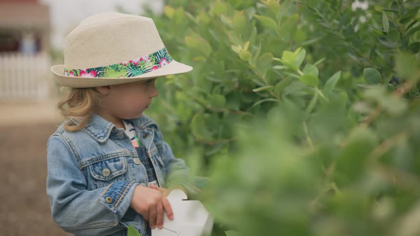 A clip of a kid in the garden