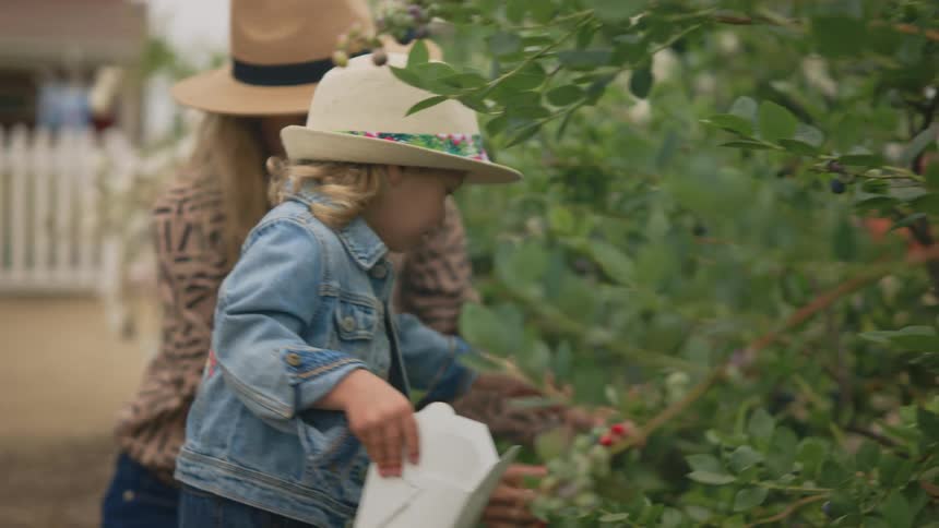 A footage of a mother and daughter making an harvest in the garden