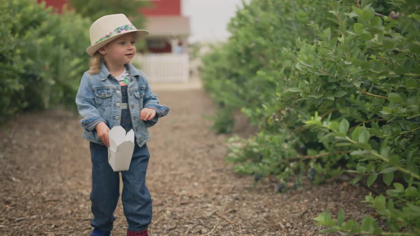 A child picks berries on the farm