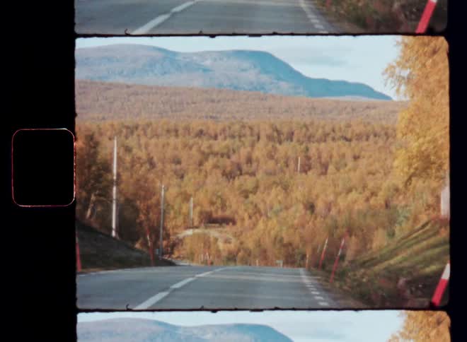 A winding road leads through a vibrant autumn forest with a mountain peak visible in the distance